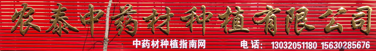 r̩ˎķNֲ޹˾